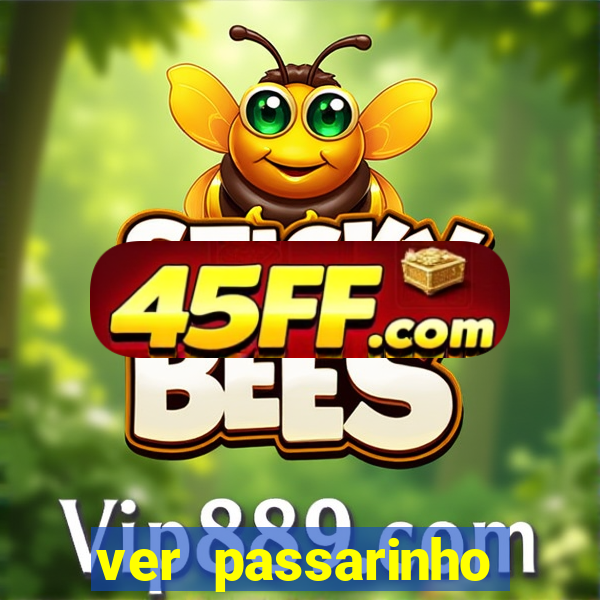 ver passarinho morto significado
